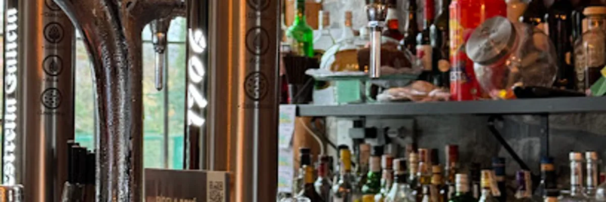 Bar 9 Valles