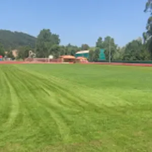 Campos de Fútbol de El Ansar