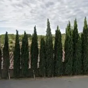 Padel du Château de Lastours