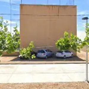 Pistas deportivas