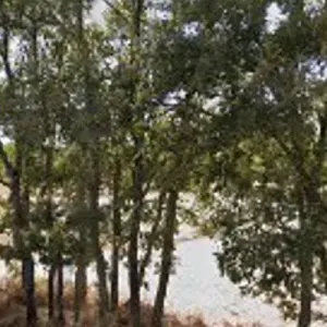 CANCHA DE FÚTBOL SALA