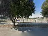 Club Tennis Seva - 5