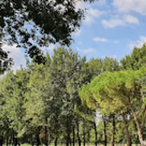 Pitch & putt Franciac
