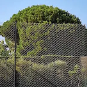 Tennis & Pàdel Piper's