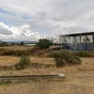 Pista