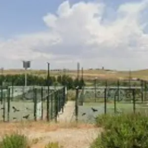 Pistas de Pádel "Aaroncito"