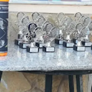 TENIS Y PADEL LA DEHESILLA