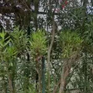 Pista de pádel 01