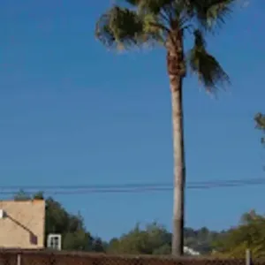 Club de Tenis Buenavista