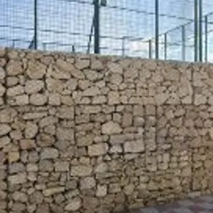 Pista De Pádel La Loma De Los Santos