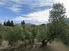 Pista de Padel del Paraje de Hútar. Albanchez de Mágina. - 2