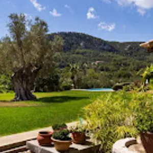 Sa Tafona Esporlas "Finca Son Quint"